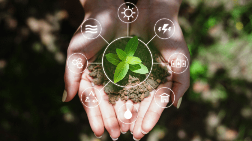 Clean energy and Natural energy resources. Woman hand holding sprout, with energy resource icons